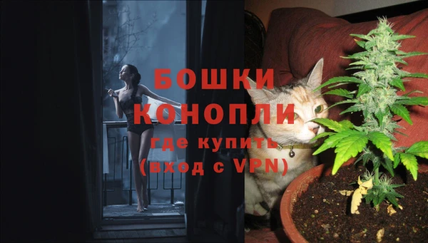 не бодяженный Гусев