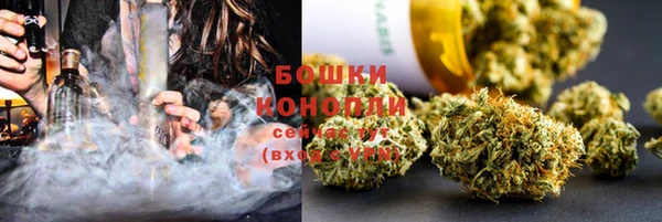 не бодяженный Гусев
