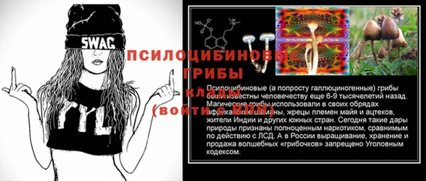 не бодяженный Гусев