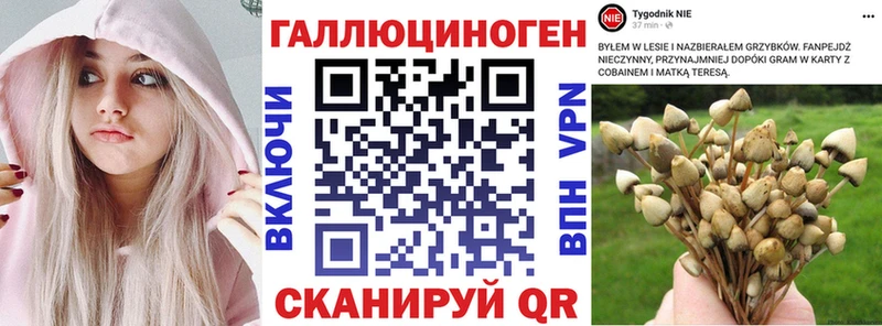 где найти   Сургут  Галлюциногенные грибы мухоморы 