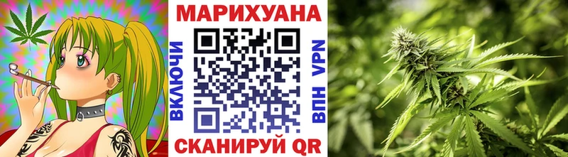Бошки Шишки SATIVA & INDICA даркнет сайт Сургут